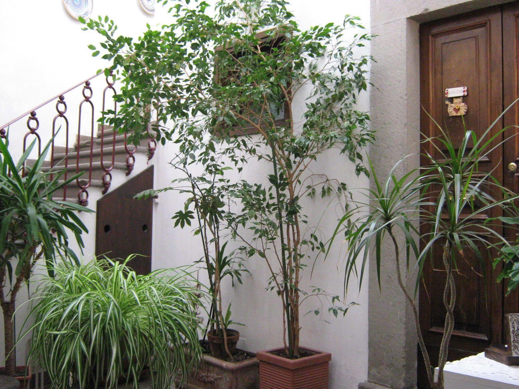 Bed and Breakfast Bb Santa Rosa Viterbo Exterior foto